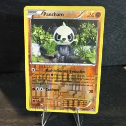 Pokemon - Pancham - 59/111 - Uncommon - Reverse Holo - XY - Furious Fists - NM - Image 1