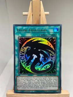 Divine Evolution - Ultra Rare 1st Edition EGO1-EN004 - NM - YuGiOh - Image 1