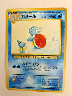 Japanese - WARTORTLE - #008 - Southern Islands - MP - Image 1