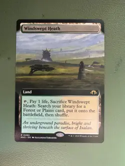 Windswept Heath (Extended Art) Modern Horizons 3 Regular - Image 1