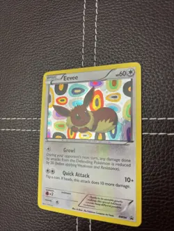 Pokemon TCG - Eevee - BW94 - Black and White Promos - LP Holo Rare (2013) - Image 2