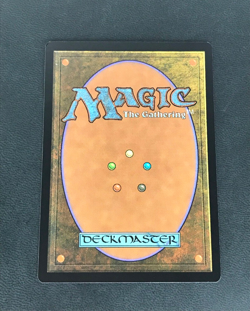 Mina and Denn, Wildborn - Commander: Zendikar Rising - NM -MTG - Image 2