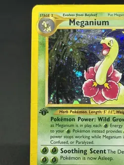 Pokemon Vintage 1st Edition Meganium 11/111 Neo Genesis Holo - TCG - Image 2