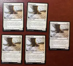 x5 NM Tempest Hawk - 0031 C TDM - MTG MAGIC NEVER PLAYED x5 - Image 1