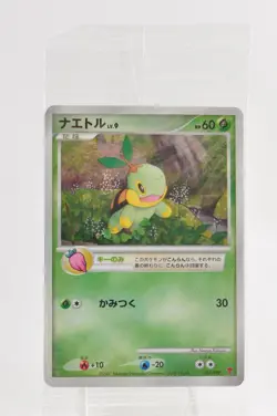 Pokemon card Turtwig 001/PPP Chimchar 002/PPP Piplup 003/PPP Promo Japanese - Image 1