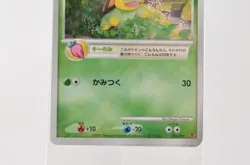 Pokemon card Turtwig 001/PPP Chimchar 002/PPP Piplup 003/PPP Promo Japanese - Image 3