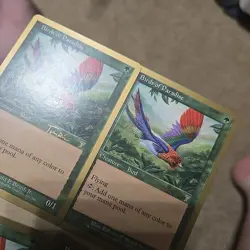 Birds Of Paradise X4 Mtg Lot 7th Edition NM - Image 4