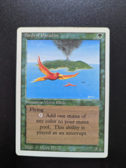MTG - Birds of Paradise -Revised - Played condition - Image 1