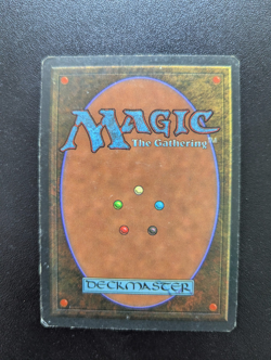 MTG - Birds of Paradise -Revised - Played condition - Image 2