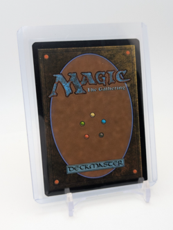 MTG - Impostor Syndrome - Extended Art Regular #251 - Spider-Man NM - Image 2