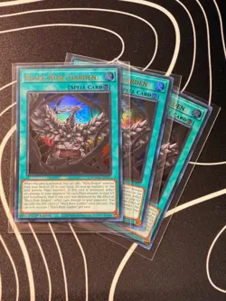 x3 Black Rose Garden (ULTRA RARE) DOOD-EN055 (MINT) Yu-Gi-Oh! BUNDLE DEAL - Image 1