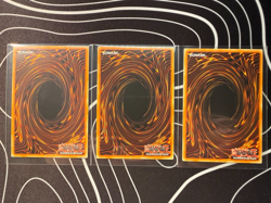 x3 Black Rose Garden (ULTRA RARE) DOOD-EN055 (MINT) Yu-Gi-Oh! BUNDLE DEAL - Image 3