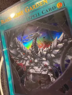 x3 Black Rose Garden (ULTRA RARE) DOOD-EN055 (MINT) Yu-Gi-Oh! BUNDLE DEAL - Image 4