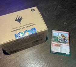 MTG Secret Lair Commander Raining Cats and Dogs - SEALED + Freebies! - Image 2