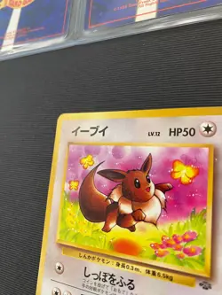 Eevee Japanese Pokemon Card #133 1996 - Image 3