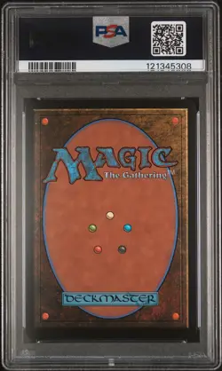 2025 MTG FINAL FANTASY BORDERLESS-FOIL #0406 TRAVELING CHOCOBO PSA 10 - Image 2