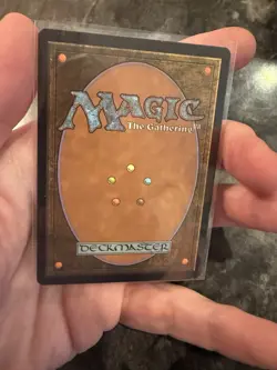 Marsh Flats Zendikar Regular - Image 2