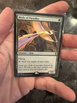 Birds of Paradise Ravnica Allegiance: Guild Kits Regular - Image 1