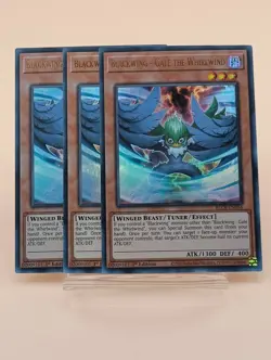 Yu-Gi-Oh! Blackwing Deck Support 16 Card Lot - Image 4