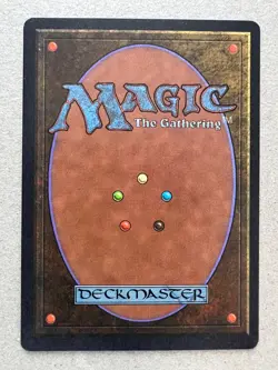Magnetic Mountain Arabian Nights VLP - Image 2