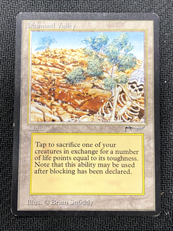 1993 Magic The Gathering Arabian Nights Diamond Valley - Image 1