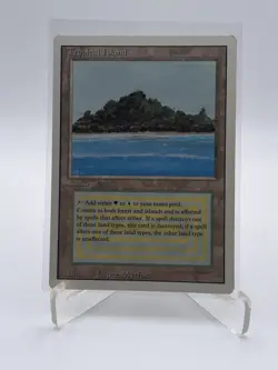 TROPICAL ISLAND 1994 REVISED EDITION Magic: the Gathering DUAL LAND vintage LP - Image 1