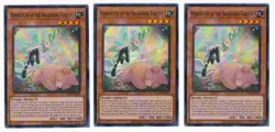 Yugioh Vernusylph Of The Awakening Forests POTE-EN017 Super NM x3 - Image 1