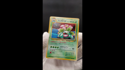 2 Set Venusaur Dragonite GB Game Boy Promo Holo MP Japanese Pokemon Card #6 - Image 2