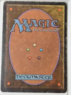 Lim-Dul's Paladin - Alliances - Magic the Gathering MTG Nice! - Image 2