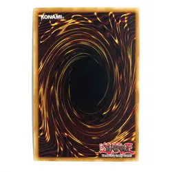 Mother Grizzly NM 1st Edition Secret Rare LCYW-EN237 Yu-Gi-Oh! TCG See Photos - Image 3