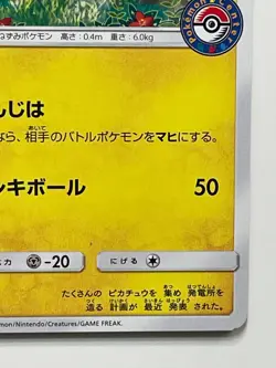 Pikachu 114/Sm-P Center Alola Festiavl Promo Pokemon Card Free Shipping From JP - Image 4