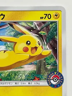 Pikachu 114/Sm-P Center Alola Festiavl Promo Pokemon Card Free Shipping From JP - Image 5