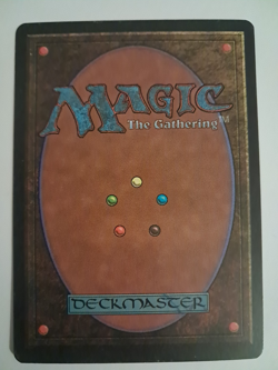 Camel LP/MP Arabian Nights MTG Magic the Gathering - Image 2