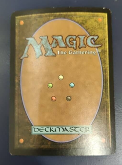 MTG Forest FOIL Onslaught Basic Land Signed - Image 2