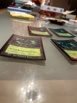 SET OF 11 *FOIL* FORESTS (1999) ARENA PROMO_MTG_LIGHTLY PLAYED, ALWAYS SLEEVED. - Image 2