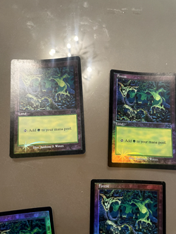SET OF 11 *FOIL* FORESTS (1999) ARENA PROMO_MTG_LIGHTLY PLAYED, ALWAYS SLEEVED. - Image 4