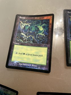 SET OF 11 *FOIL* FORESTS (1999) ARENA PROMO_MTG_LIGHTLY PLAYED, ALWAYS SLEEVED. - Image 5