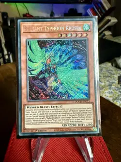 YUGIOH- Radiant Typhoon Krosea - DOOD-EN015 - Secret Rare - 1st Edition - Image 1