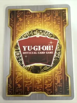 DARK MAGICIAN GIRL YU-GI-OH CUSTOM Holo CCG Anime Custom Card - Image 2