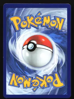 Pokemon Pikachu V-Union SWSH139/140/141/142 Holo Black Star Promo 4 Card Set LP - Image 5