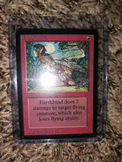 Earthbind Limited Edition - Beta Edition Regular - Image 1