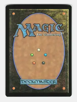MTG: Forest () | Secret Lair Drop Series 1943 NM - Image 2