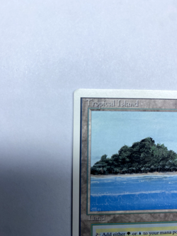 Tropical Island Revised Edition LP Magic the Gathering MtG - Image 2