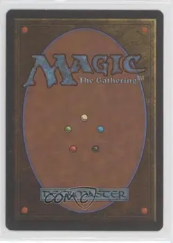 Memory Lapse French Magic: Homelands 1995 - Image 2