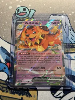 Pokemon TCG Dachsbun ex 067/142 Stellar Crown Double Rare Holo NM - Image 1