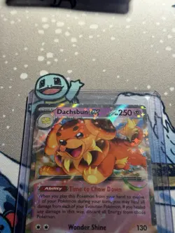 Pokemon TCG Dachsbun ex 067/142 Stellar Crown Double Rare Holo NM - Image 2