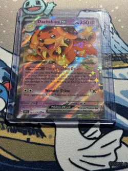 Pokemon TCG Dachsbun ex 067/142 Stellar Crown Double Rare Holo NM - Image 3