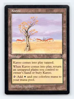 Visions Karoo - Image 1