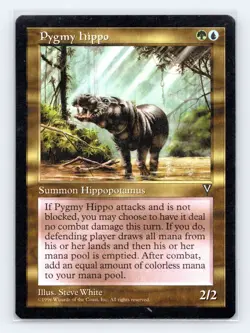 Visions Pygmy Hippo - Image 1