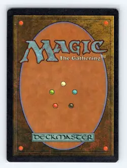 Visions Pygmy Hippo - Image 2